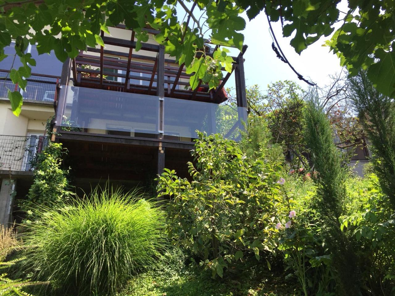 Pergola House In A Green Oasis With Fantastic View Apartamento Petrovaradin Exterior foto